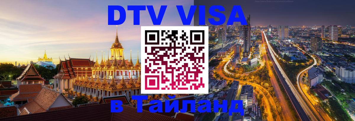 Сколько стоит DTV виза — актуальные цены, оформление даже без документов - Бийск 